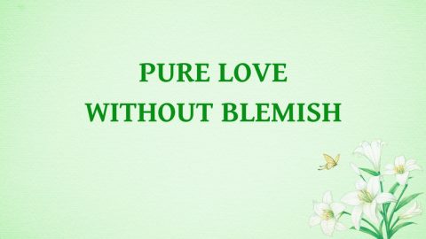 Pure Love Without Blemish