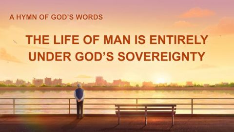 The Life Of Man Is Entirely Under God’s Sovereignty