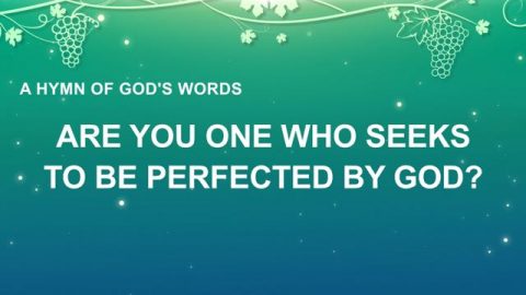 Are You One Who Seeks To Be Perfected By God?