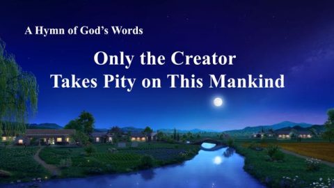 Only The Creator Takes Pity On This Mankind